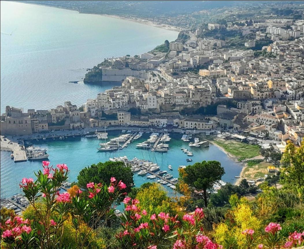 Little Italy * Castellammare del Golfo